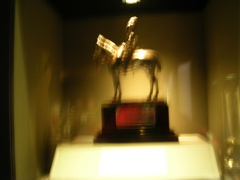 DSCN0247.JPG