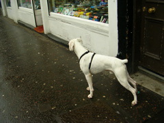 DSCN0266.JPG