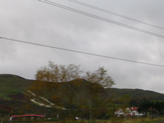 DSCN0282.JPG