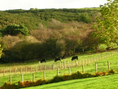 DSCN0302.JPG
