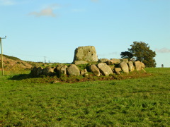 DSCN0308.JPG