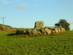 DSCN0309.JPG