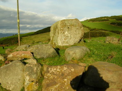 DSCN0310.JPG