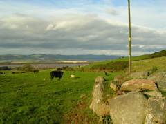 DSCN0311.JPG