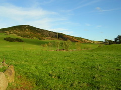 DSCN0312.JPG