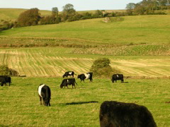 DSCN0316.JPG