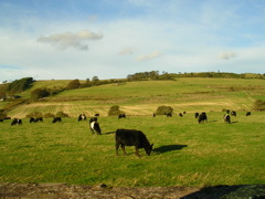 DSCN0317.JPG