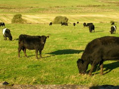 DSCN0318.JPG