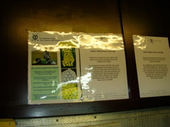 DSCN0319.JPG