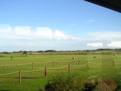 DSCN0003.JPG