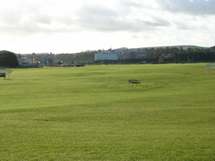 DSCN0331.JPG