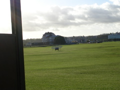 DSCN0332.JPG