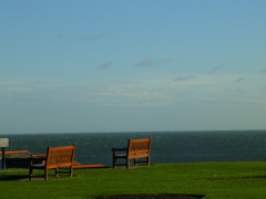 DSCN0352.JPG