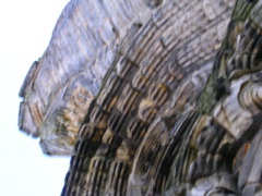DSCN0360.JPG