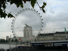 DSCN0073.JPG