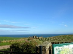 DSCN0390.JPG