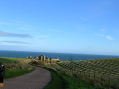 DSCN0392.JPG
