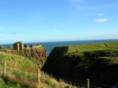 DSCN0393.JPG