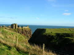 DSCN0395.JPG
