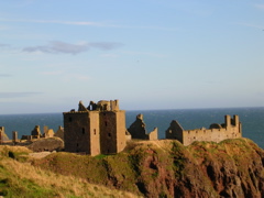 DSCN0396.JPG