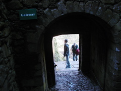 PA221544.JPG