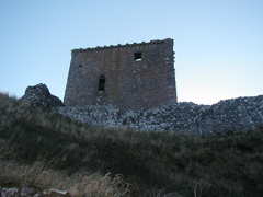 PA221551.JPG