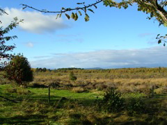 DSCN0417.JPG