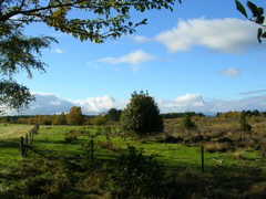 DSCN0418.JPG