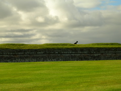 DSCN0422.JPG