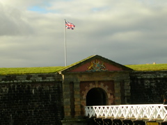 DSCN0424.JPG