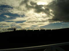 DSCN0426.JPG