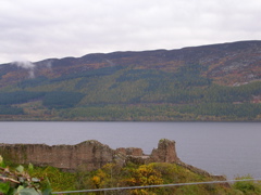 DSCN0478.JPG