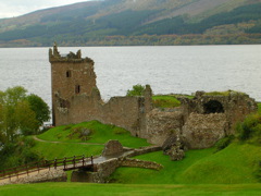 DSCN0480.JPG