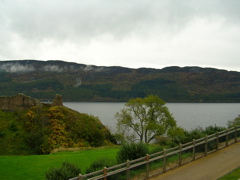 DSCN0482.JPG