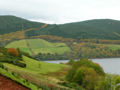 DSCN0484.JPG