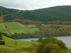 DSCN0485.JPG