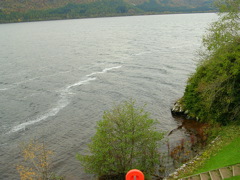 DSCN0491.JPG