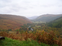DSCN0499.JPG
