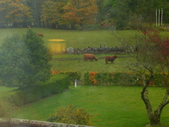 DSCN0509.JPG
