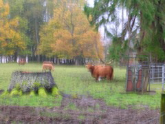 DSCN0519.JPG