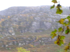 DSCN0520.JPG
