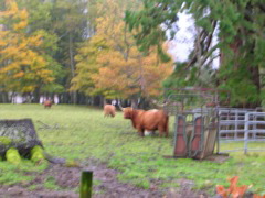 DSCN0522.JPG