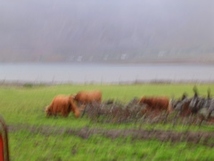 DSCN0523.JPG