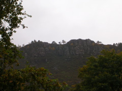 DSCN0517.JPG