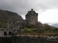 PA251565.JPG