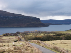PA261572.JPG