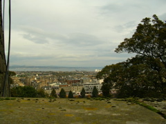 DSCN0170.JPG