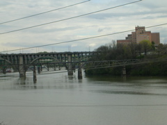 DSCN1302.JPG