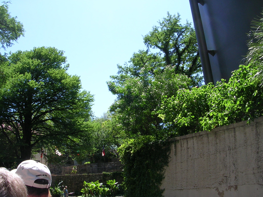 DSCN0001.JPG