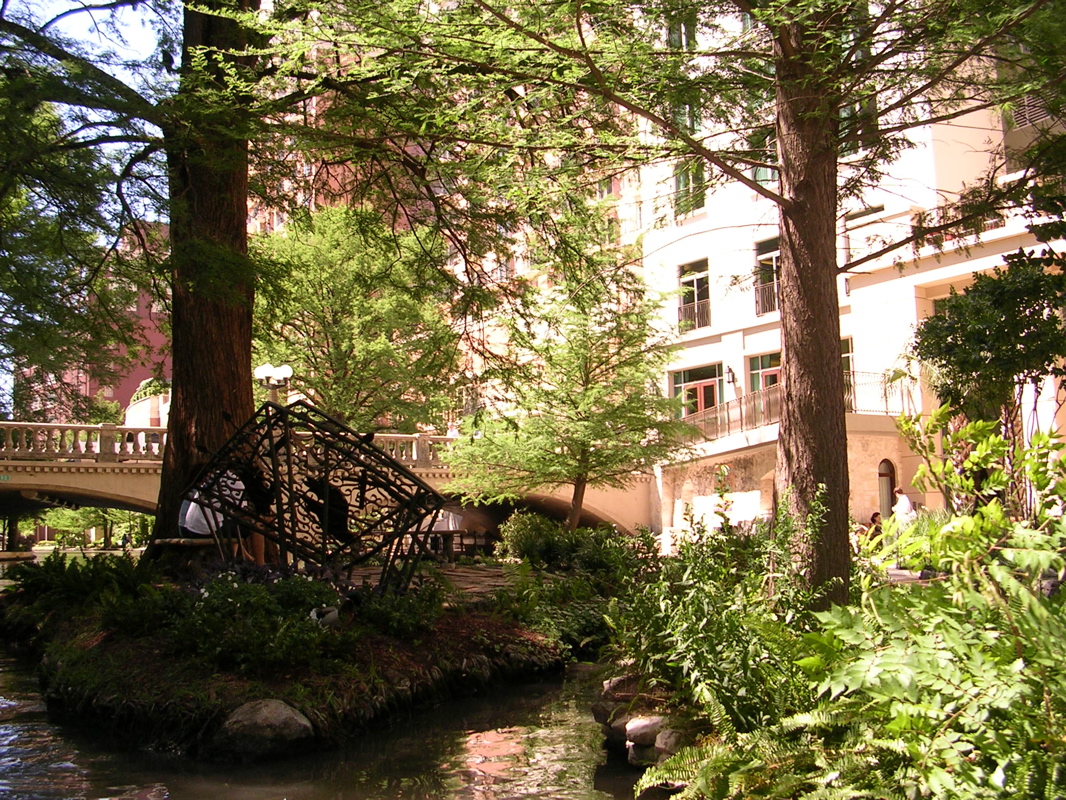 DSCN0006.JPG
